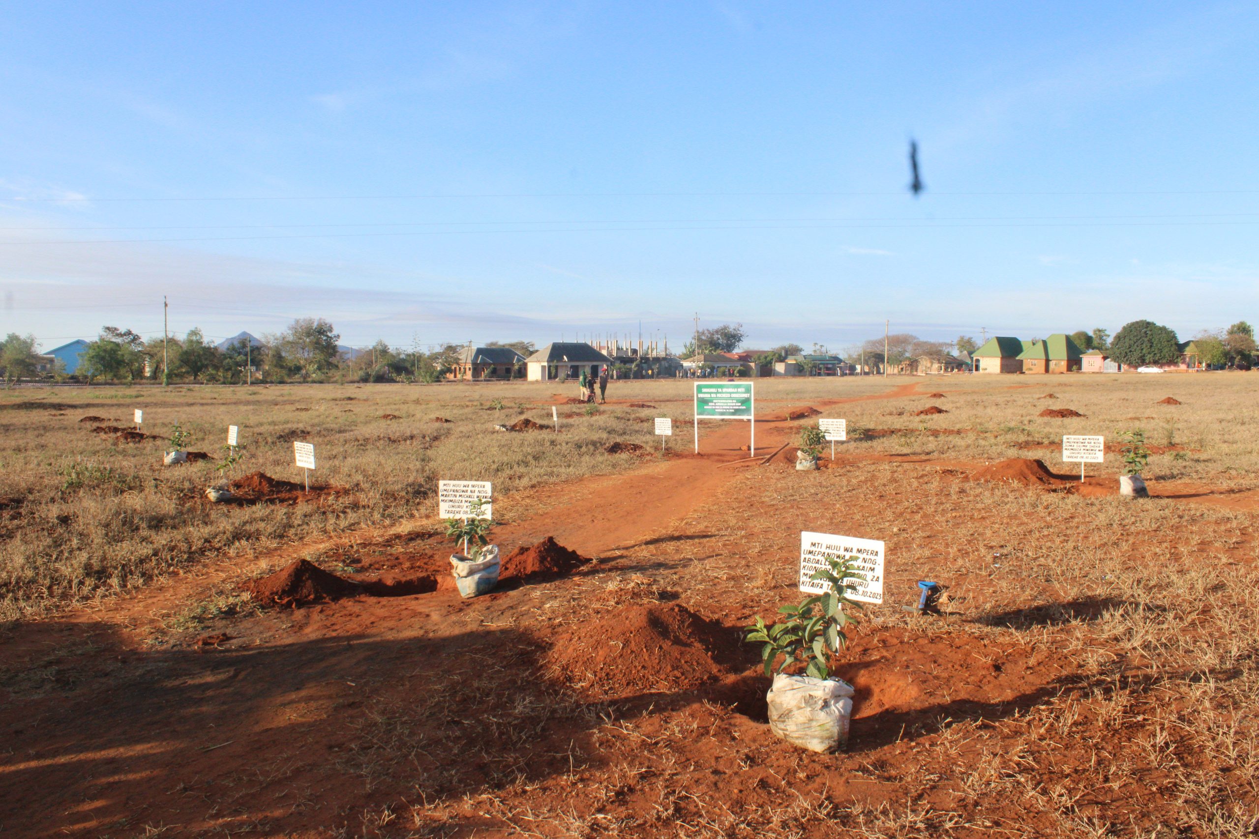 Climate change fuelling species invasions of pastoral lands in Tanzania