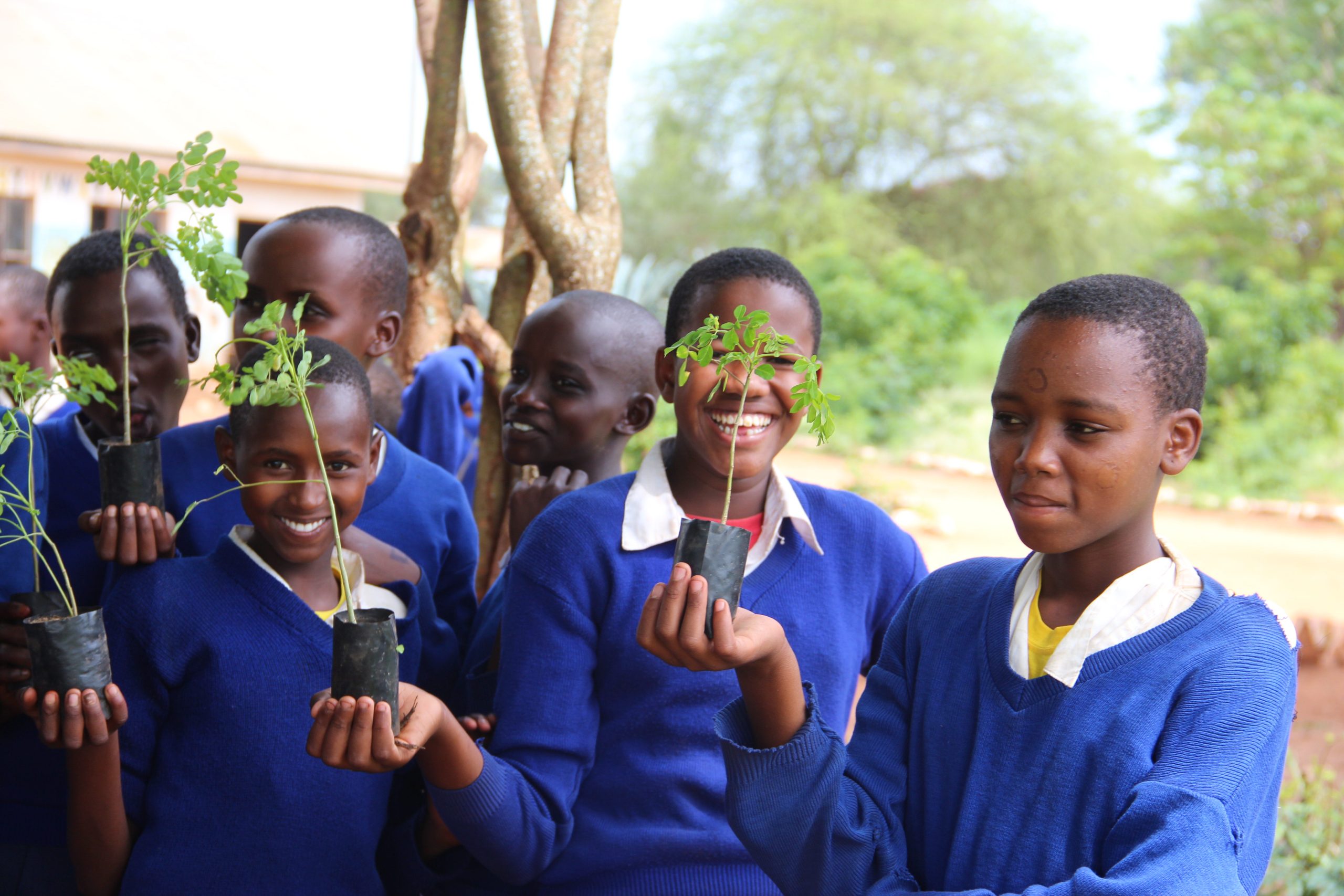 Rooted in change: The impact of tree nurseries in Tanzania