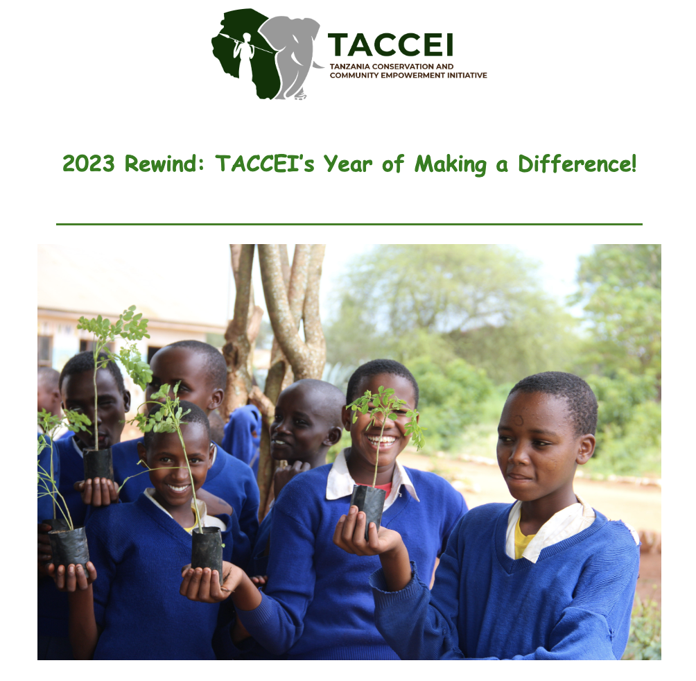 2023 Rewind: TACCEI’s Year of Making a Difference!
