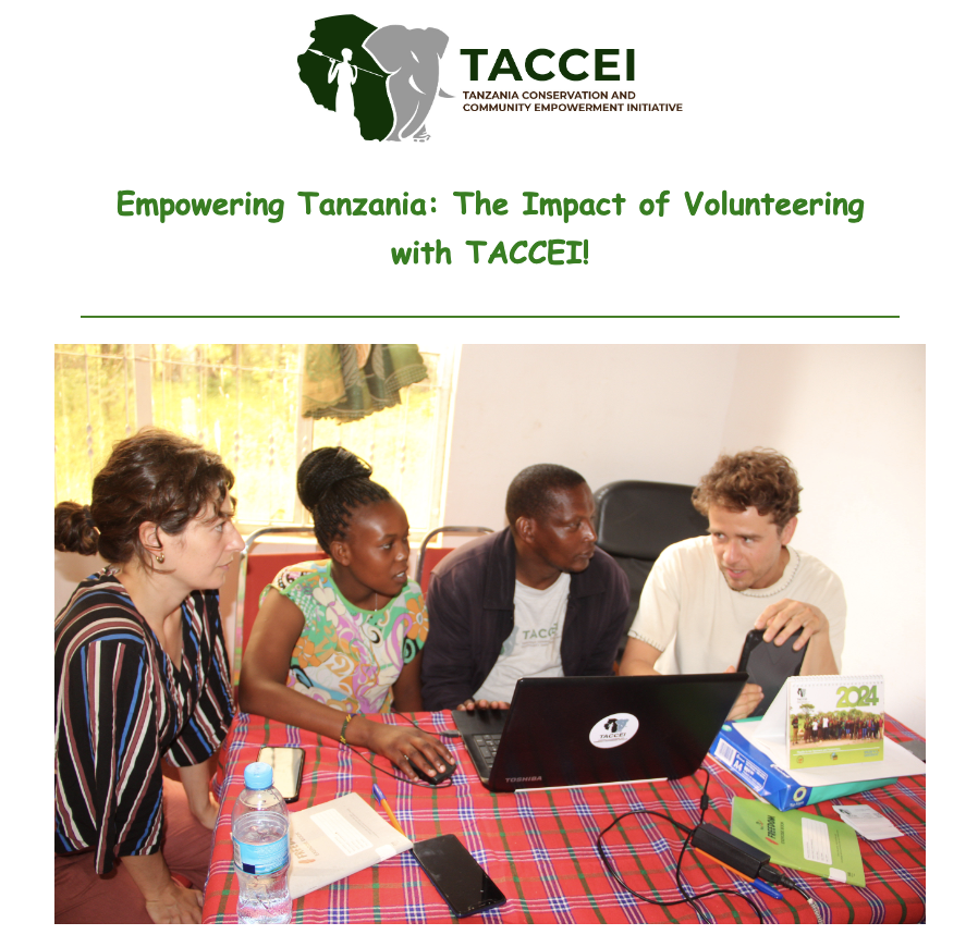 Empowering Tanzania: The Impact of Volunteering with TACCEI!
