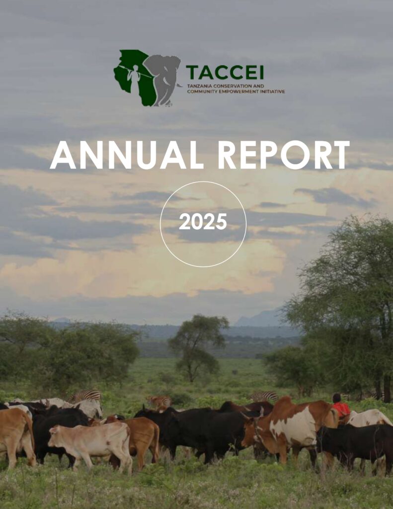 ANNUAL REPORT 2025